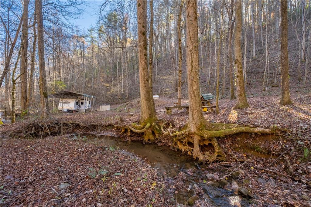 650 Mulberry Trail, Ellijay, Georgia image 28