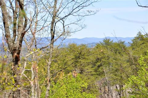 5533 Red Fox Court Big Canoe GA 30143