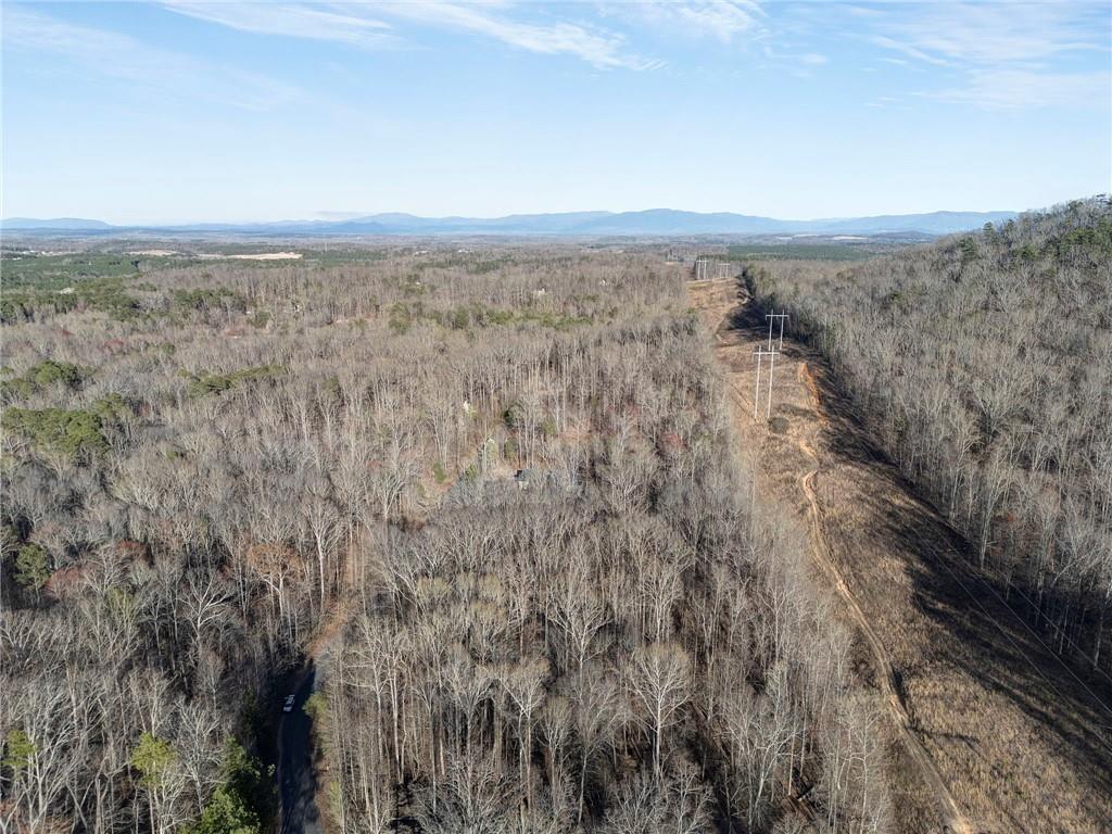 Loblolly Lane, Tunnel Hill, Georgia image 3