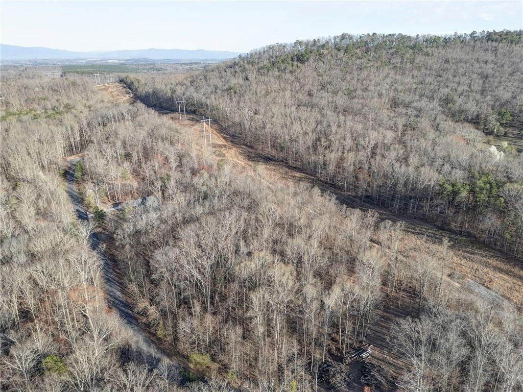 Loblolly Lane, Tunnel Hill, Georgia image 2