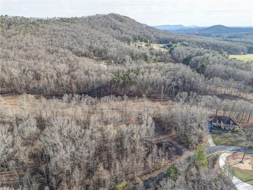 Loblolly Lane, Tunnel Hill, Georgia image 5