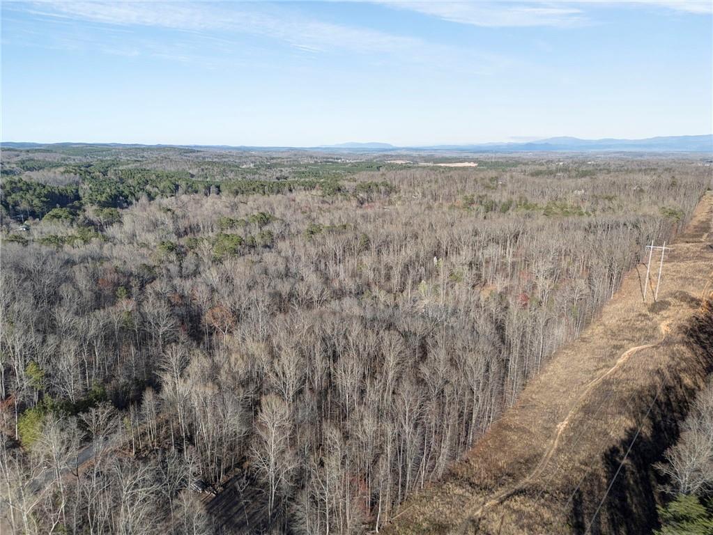 Loblolly Lane, Tunnel Hill, Georgia image 1