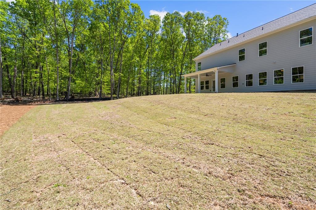 2749 Porches Lane, Dacula, Georgia image 9
