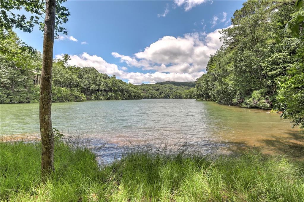 21 Green Heron Point, Big Canoe, Georgia image 4