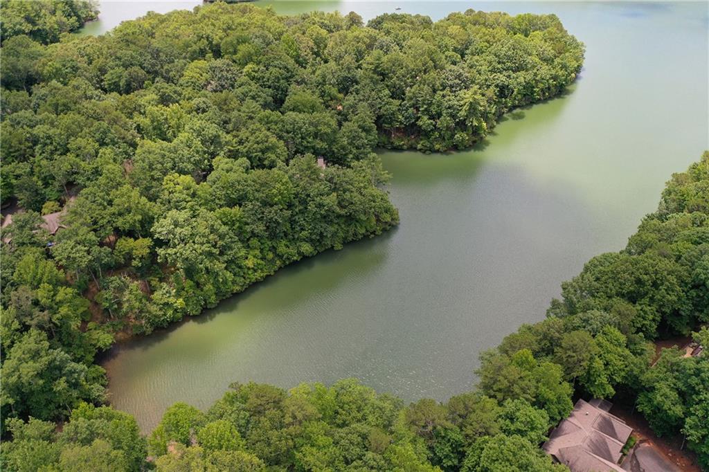 21 Green Heron Point, Big Canoe, Georgia image 44