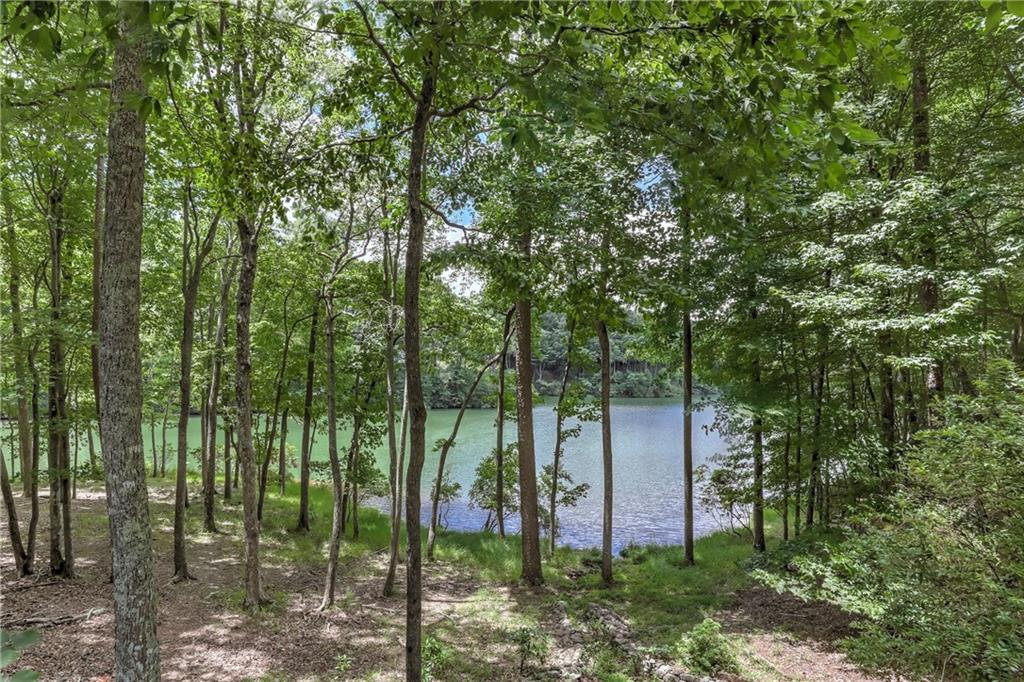 21 Green Heron Point, Big Canoe, Georgia image 11