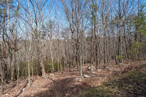 Vacant Land For Sale - Mulberry Circle<br/> Pickens County, Jasper, GA 30143