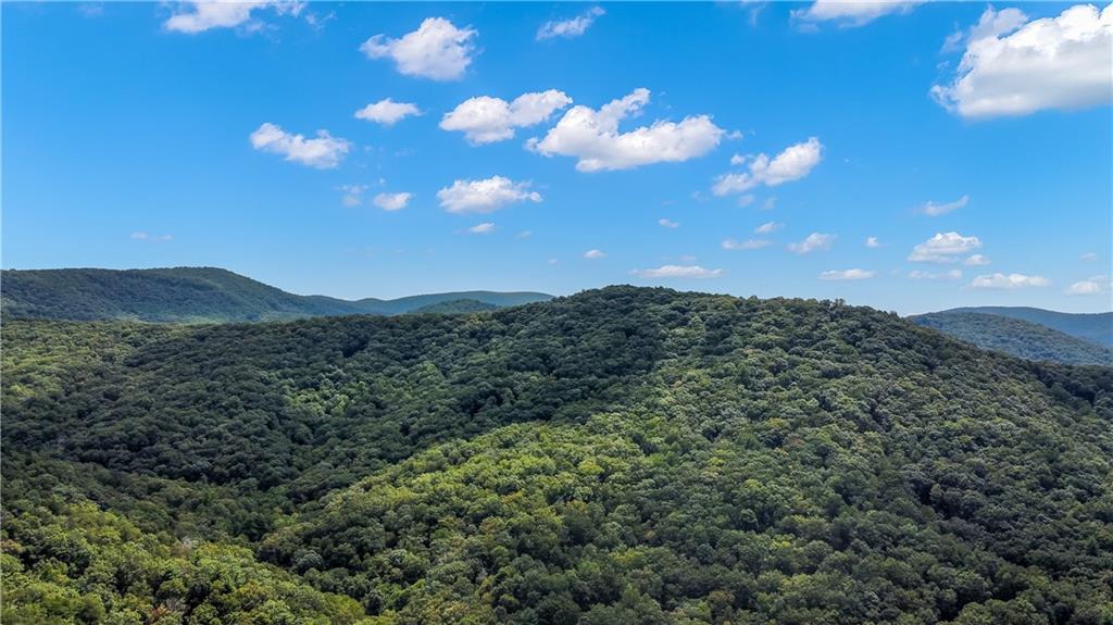 Don't miss this rare opportunity to own 4.69 acres of unrestricted land on Rockwater Road in Ellijay, ideally located between Downtown Ellijay and Downtown Blue Ridge. With no HOA or subdivision restrictions and abuts to the Chattahoochee National Forest, you'll enjoy the freedom to design and build exactly what you've been dreaming of-whether that's a private mountain cabin, full-time residence, or investment property. A recent survey has already been completed, electricity is available, and the gently rolling terrain offers multiple potential building sites surrounded by the natural beauty of North Georgia. While no soil test has been completed yet, the property provides excellent potential for future development. Tucked away in a peaceful setting yet only a short drive to the shops, restaurants, wineries, and outdoor activities of both Ellijay and Blue Ridge, this land offers the perfect blend of privacy and convenience. With endless possibilities and a highly desirable location, this 4.69-acre tract is the perfect place to create your mountain retreat. Map GPS to 3240 Old Parker Place Road, Ellijay GA 30536. Go past this address on your L, follow to the lot on the R after a few hundred feet. Lot will be on your R in the curve that is on your R. Sign in place. From Walmart in Ellijay, In 0.6 mi, turn R onto Hwy 515N. in 1.6 mi, turn L onto First Ave. In 600 ft, turn R onto Hwy 52 E. In 5.3 mi, turn L onto Big Creek Rd. In 1.7 mi, turn R onto Holt Bridge Rd. in 5.8 mi, turn L onto Roy Road. In 0.9 mi, turn R onto Tickanetley Rd.In 0.5 mi, continue onto Old Parker Place Road. In 3.5 mi, the destination is on your right. Sign in place.