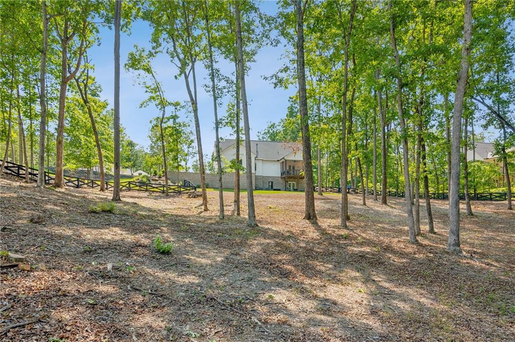 210 Birmingham Road, Ball Ground, Georgia image 42