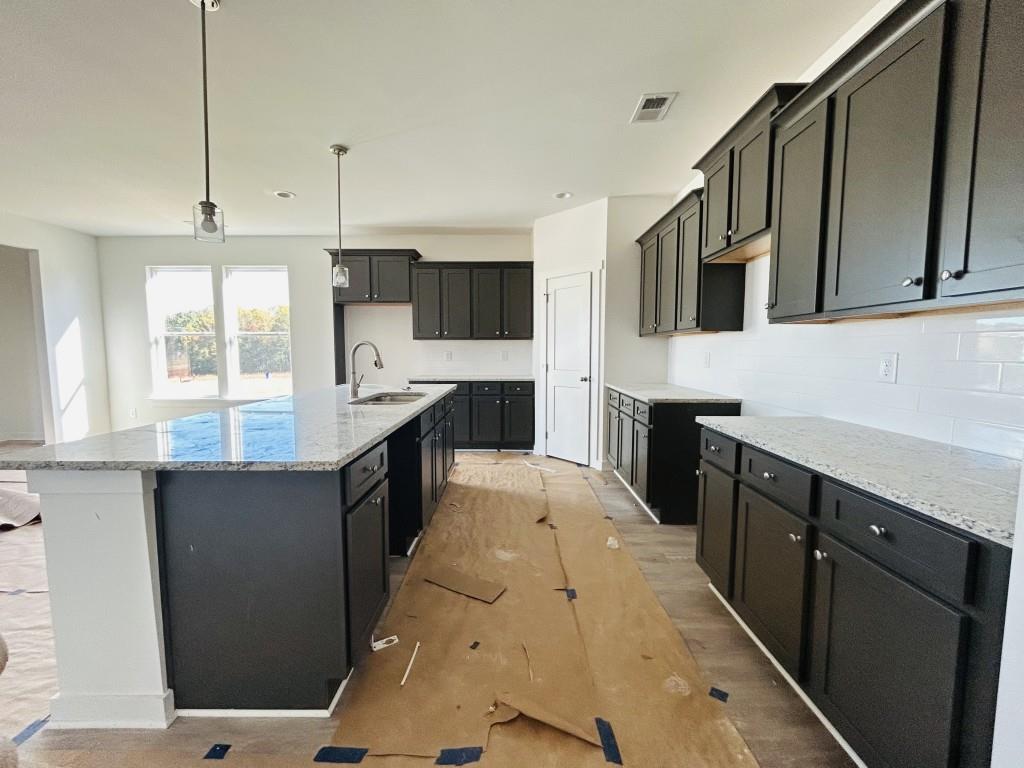 405 Crimson Feather Drive