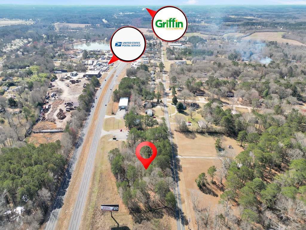 368 Wood Road Road, Hampton, Georgia image 7