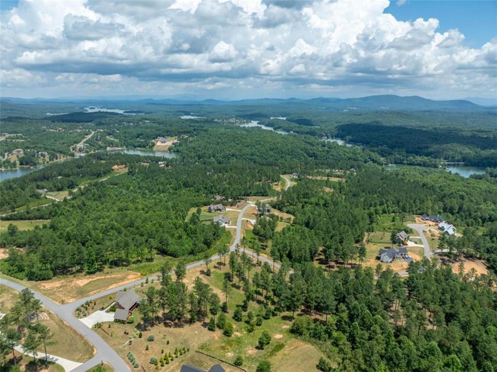 1008 Ridge Pointe Way, Blairsville, Georgia image 38