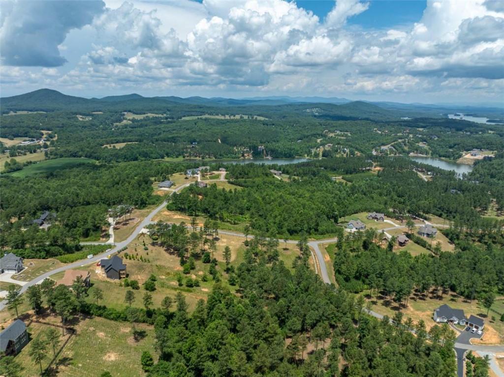 1008 Ridge Pointe Way, Blairsville, Georgia image 39