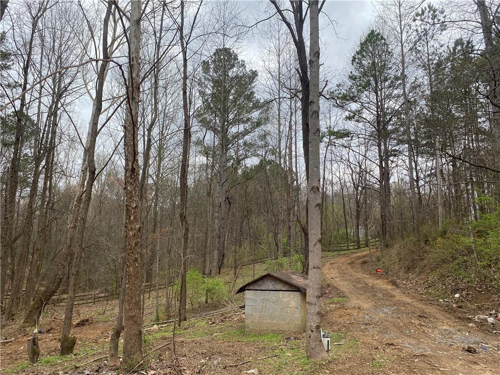 247 Tatum Road, Talking Rock, Georgia image 4