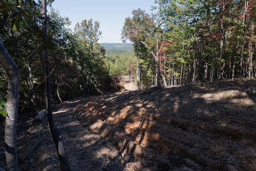 Photo of 34 E Heritage Drive NE, Rydal, GA 30171 (MLS # 7685288)