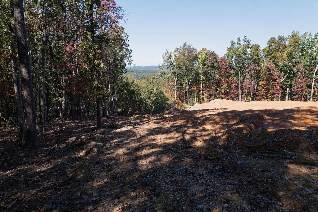 Photo of 34 E Heritage Drive NE, Rydal, GA 30171 (MLS # 7685288)