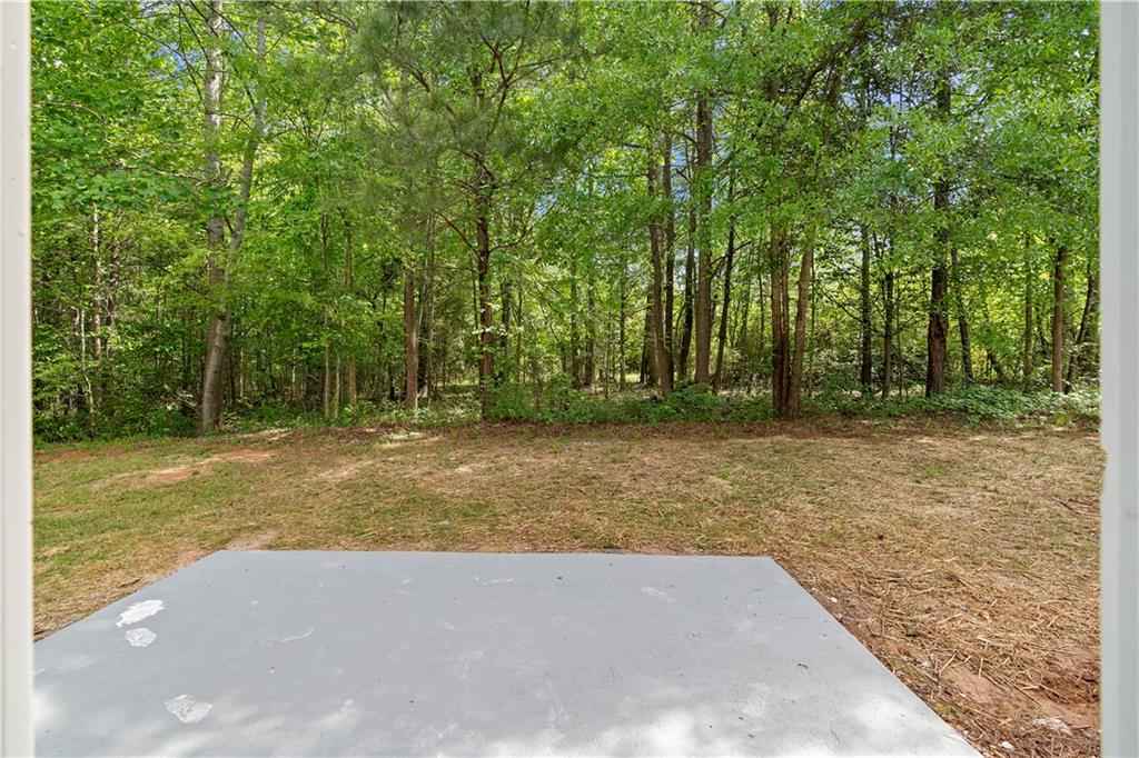 4087 Rosebud Park Drive, Snellville, Georgia image 46