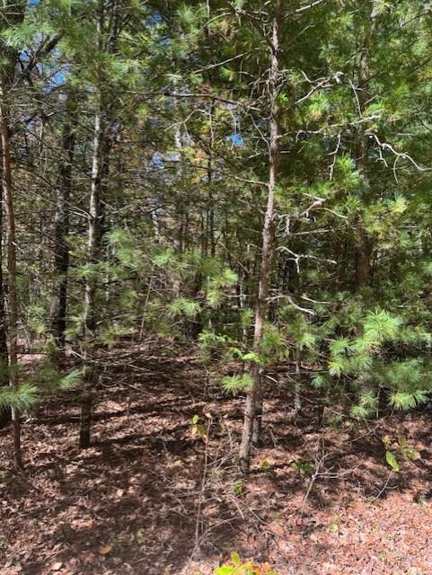 Hillbilly Holler - Land