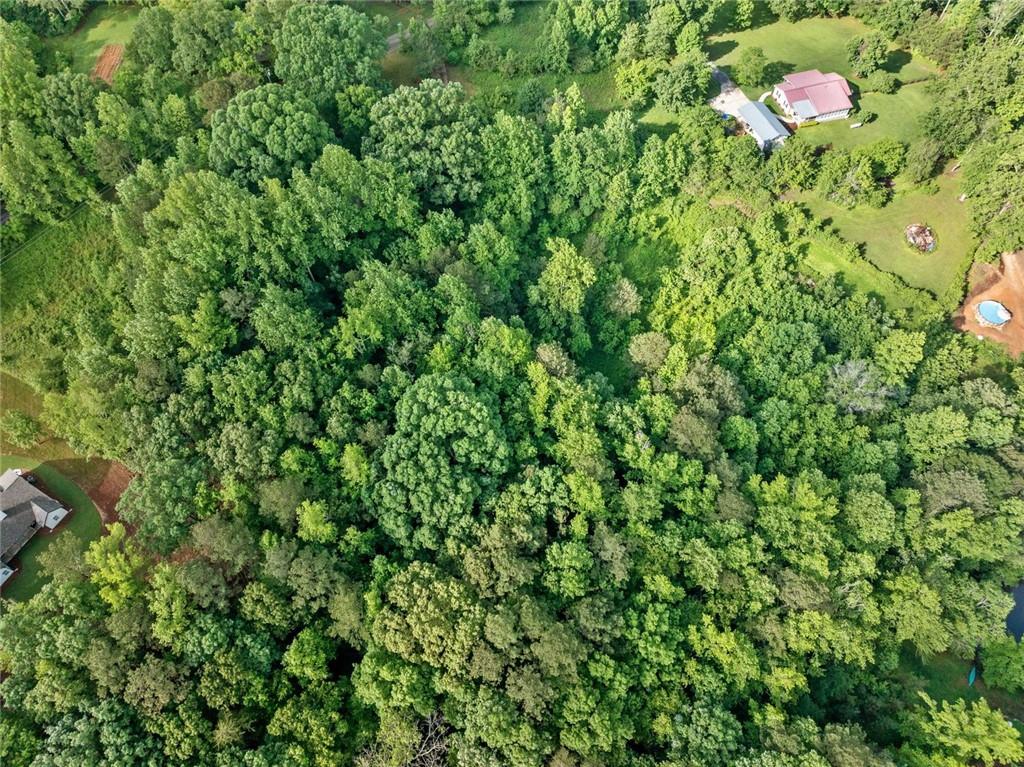 811 Ammons Drive Dr, Waleska, Georgia image 29
