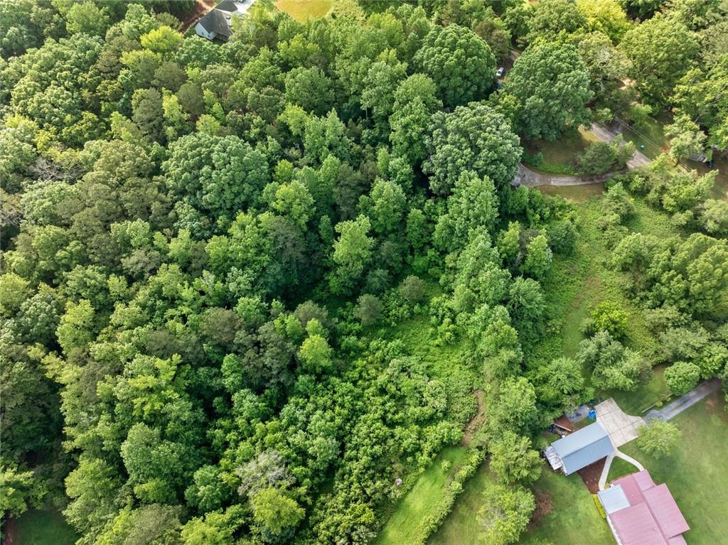 811 Ammons Drive Dr, Waleska, Georgia image 2