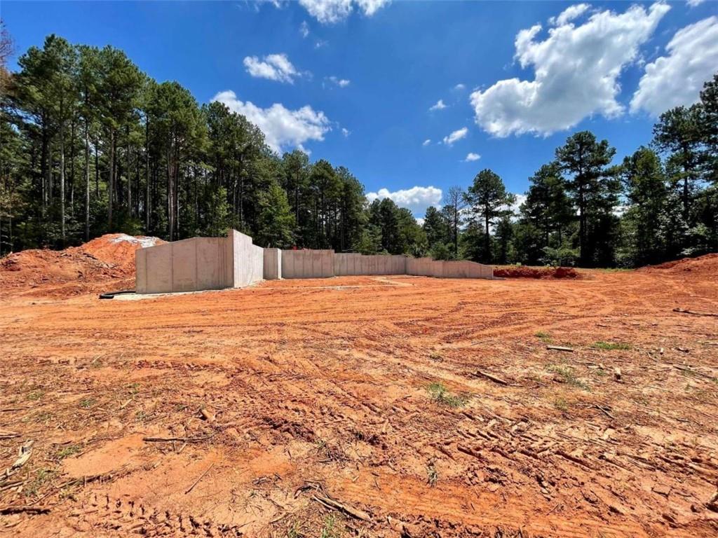 Regan Meadow Lane, Commerce, Georgia image 24