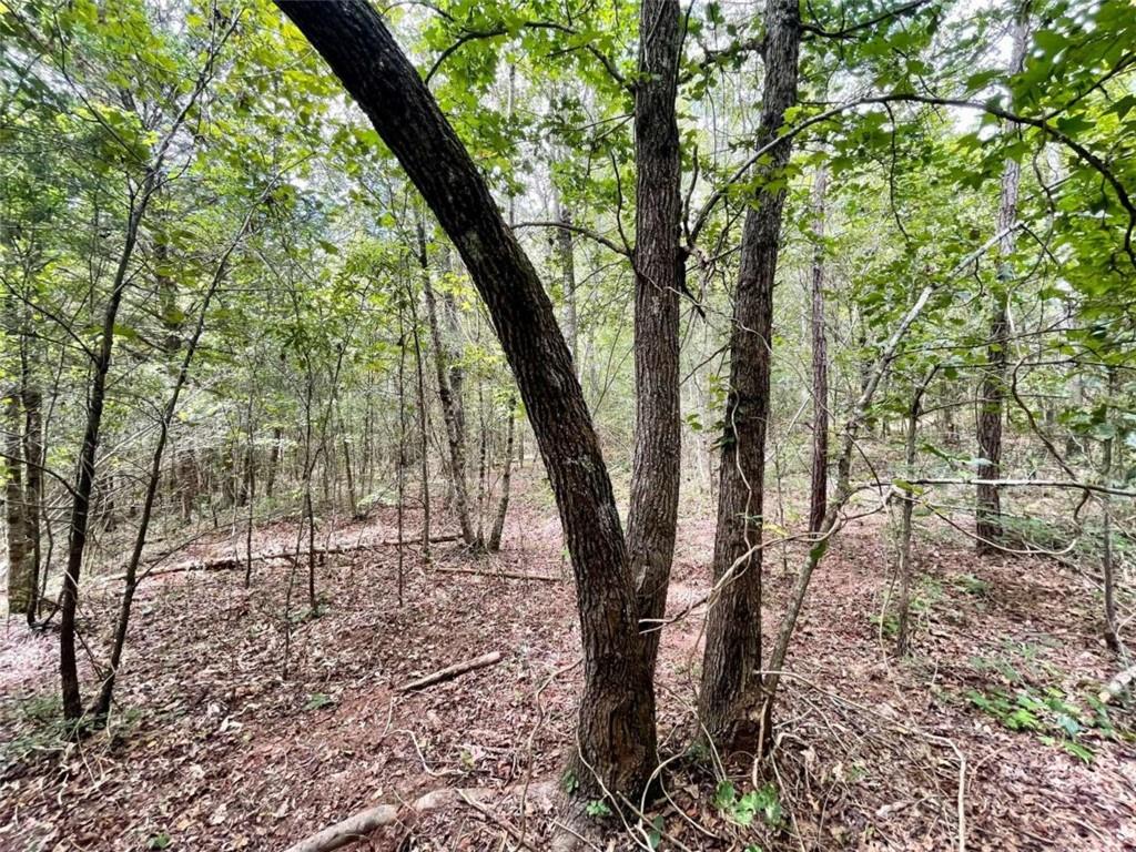 Regan Meadow Lane, Commerce, Georgia image 14