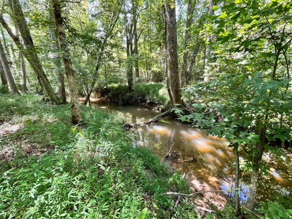 Regan Meadow Lane, Commerce, Georgia image 16