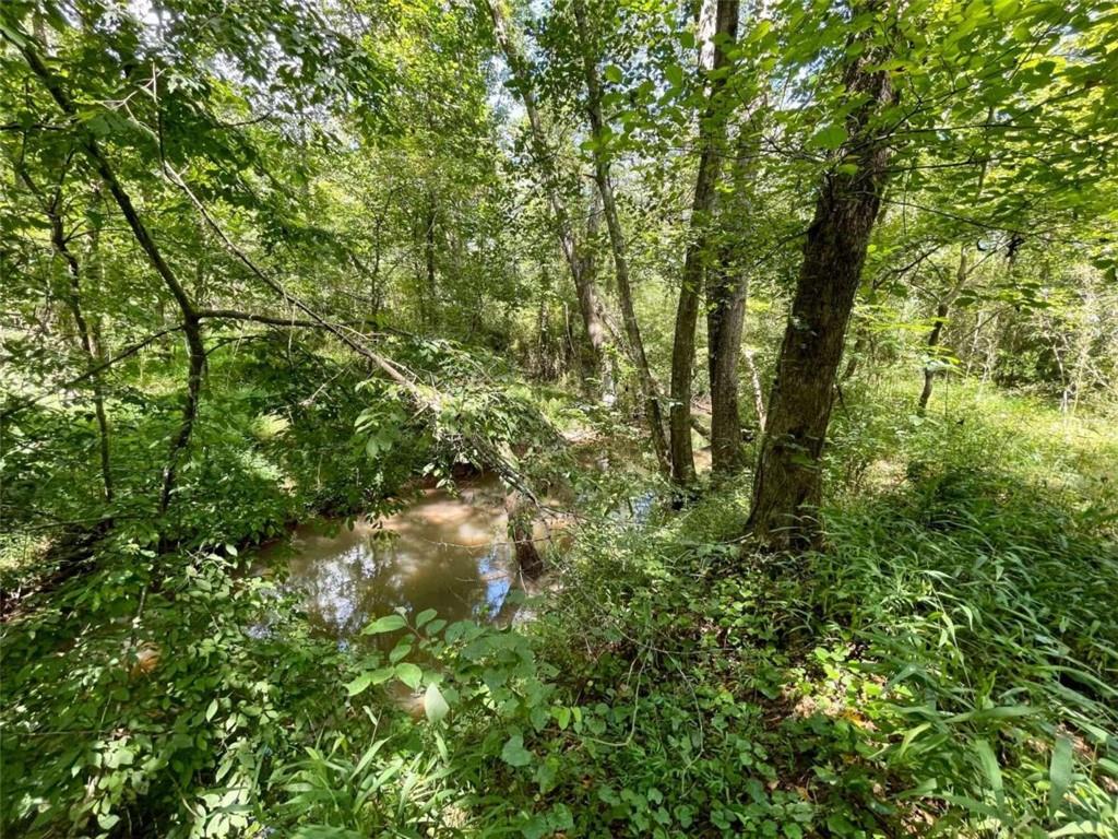 Regan Meadow Lane, Commerce, Georgia image 17