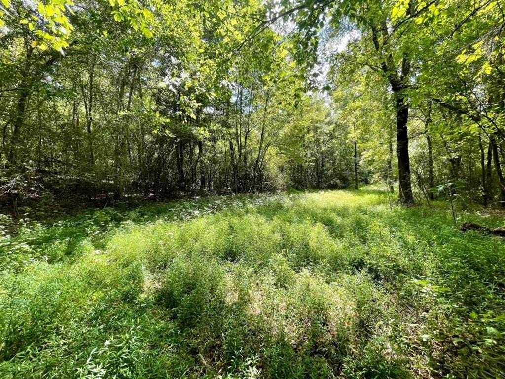 Regan Meadow Lane, Commerce, Georgia image 12