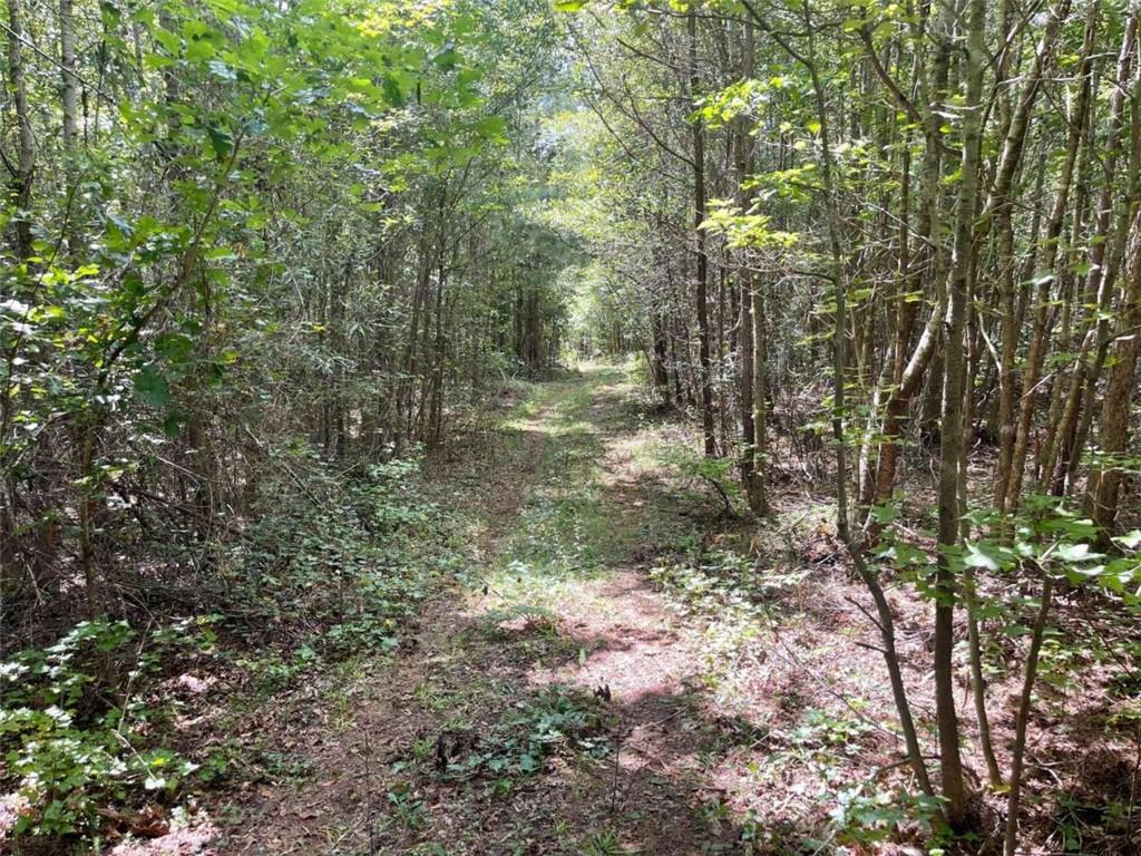 Regan Meadow Lane, Commerce, Georgia image 15