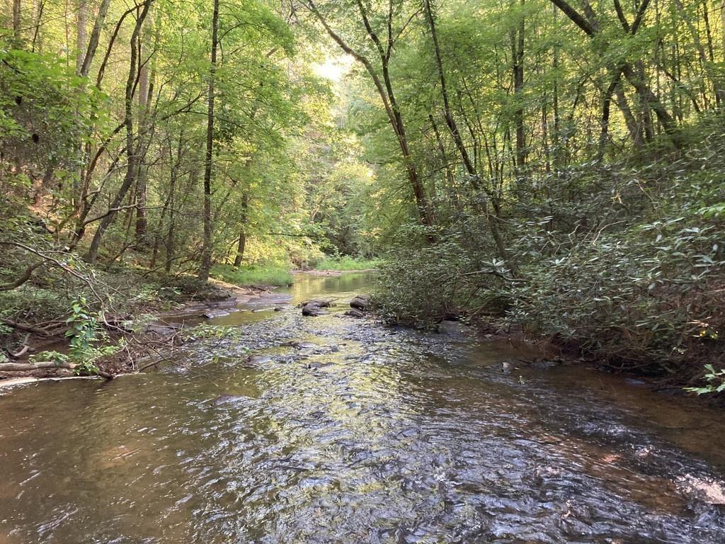 0 Dell Moore, Lot 3 Road