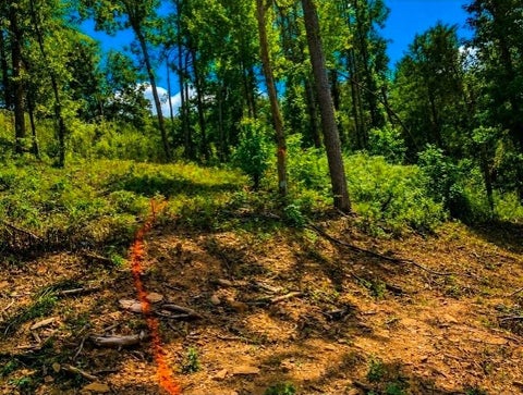 Vacant Land For Sale - Dell Moore, Lot 3 Road<br/> Pickens County, Marble Hill, GA 30148