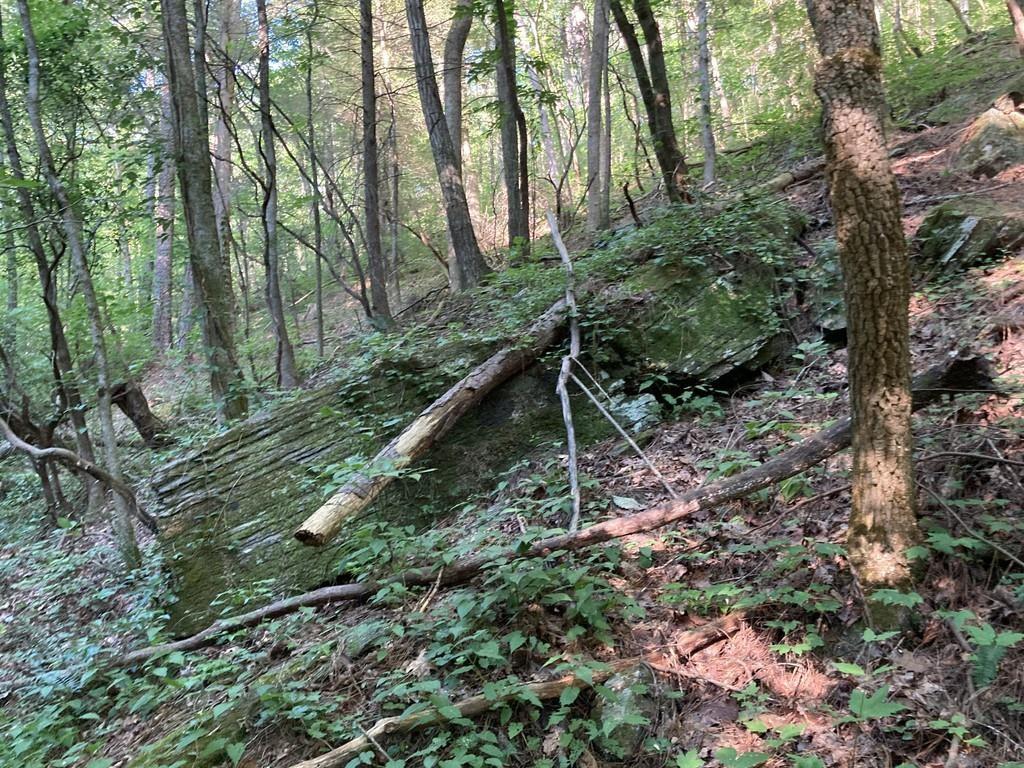 0 Dell Moore, Lot 3 Road