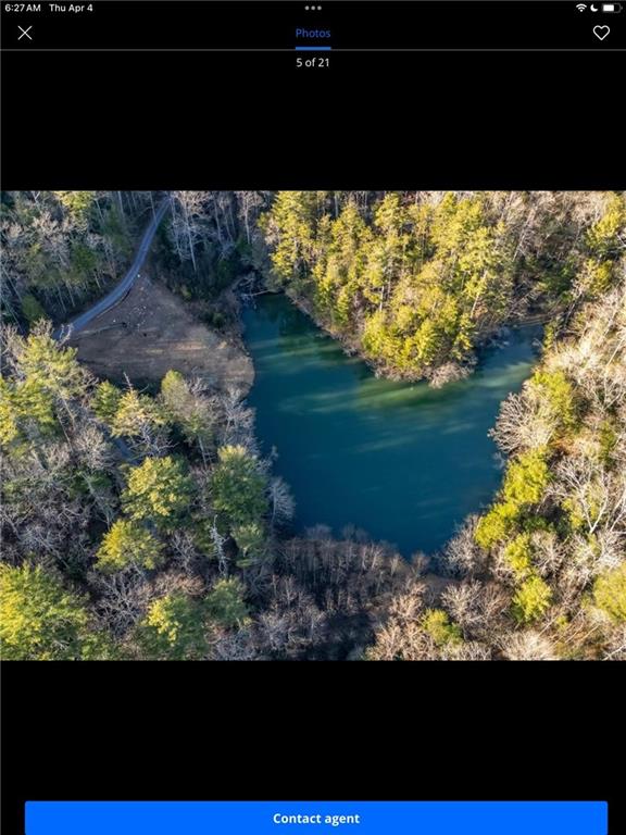 45 Hidden Lake Drive, Cherry Log, Georgia image 6