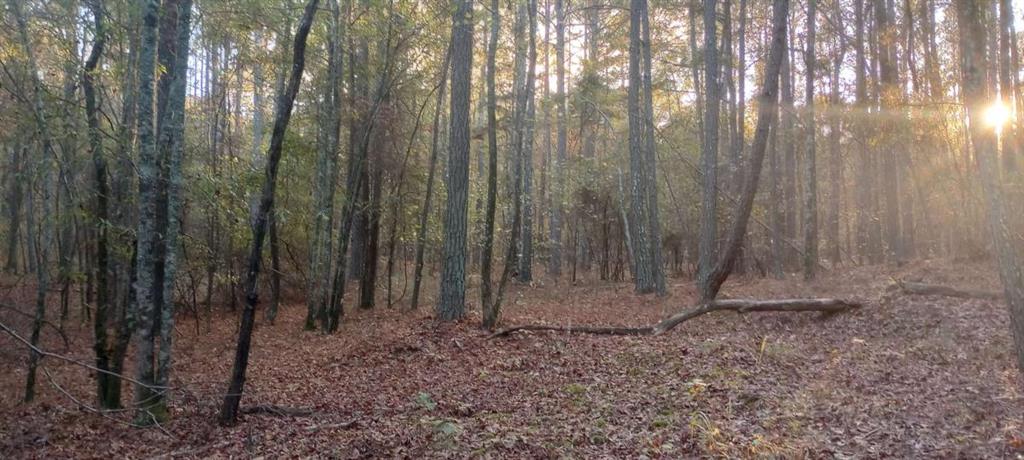 Jack Meadows Road, Douglasville, Georgia image 1