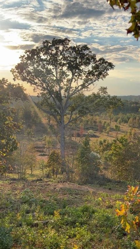 1590 Buttermilk Road SW Cave Spring GA 30124