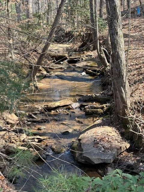 Vacant Land For Sale - Timberline Trail<br/> Talking Rock, GA 30175