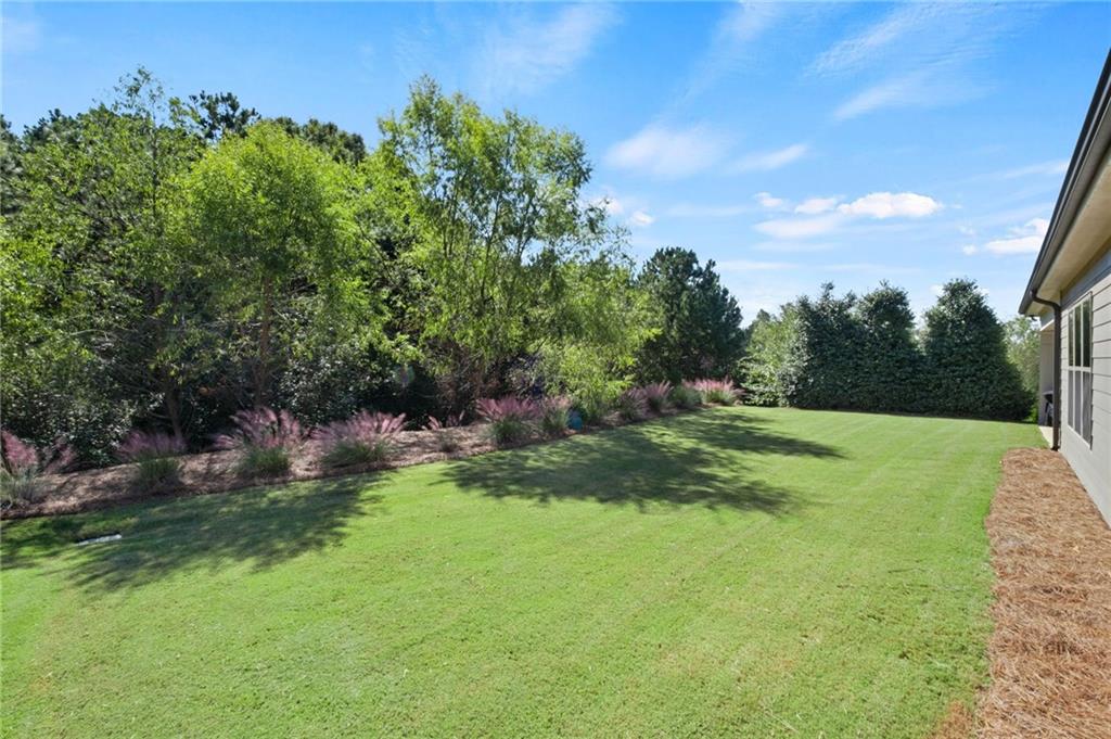Larkspur - Residential