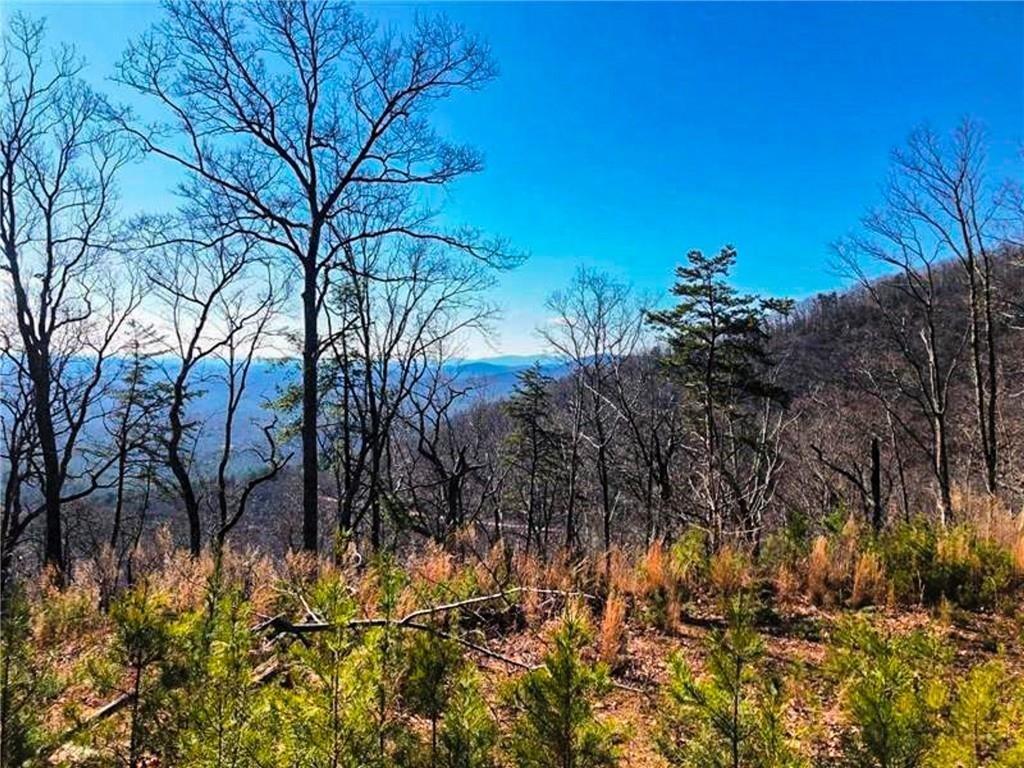 00 Coopers Gap Road, Dahlonega, Georgia image 2