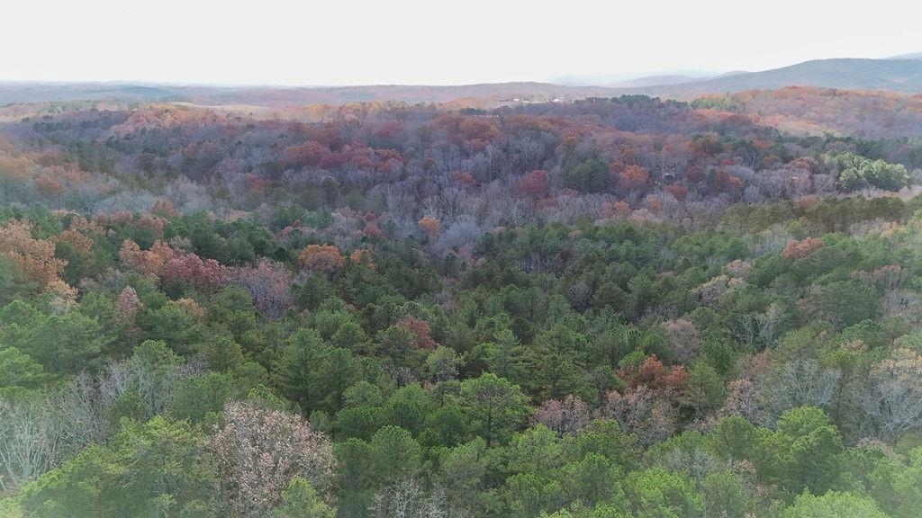 00 Rockhouse Road, Waleska, Georgia image 1