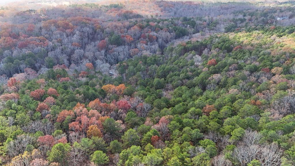 00 Rockhouse Road, Waleska, Georgia image 15