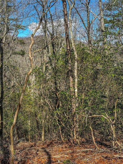 Vacant Land For Sale - 00 Ts Jarrard<br/> Dahlonega, GA 30533