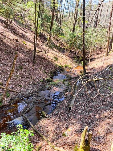 A home in Ellijay