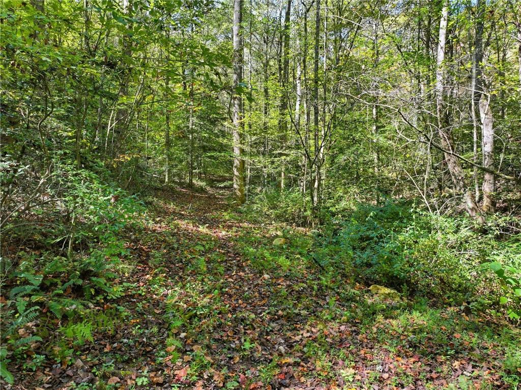 0 Tanglewood Lane