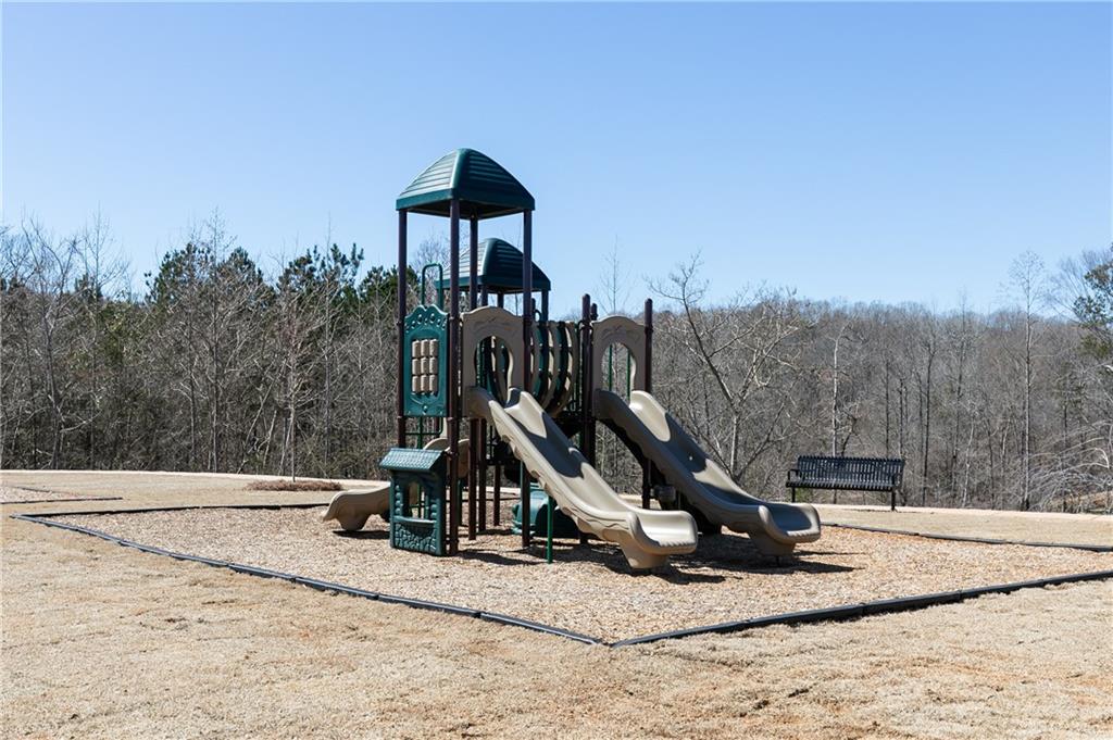 516 Altamaha Court, Locust Grove, Georgia image 30