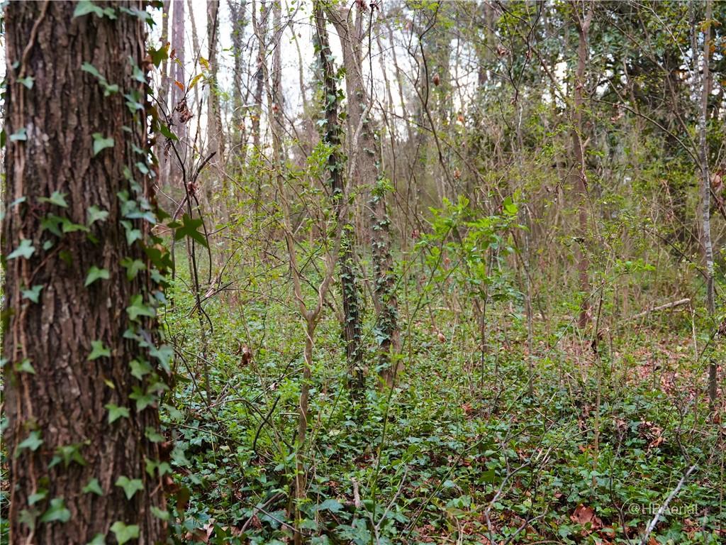 2967 Ben Daniel Road SE