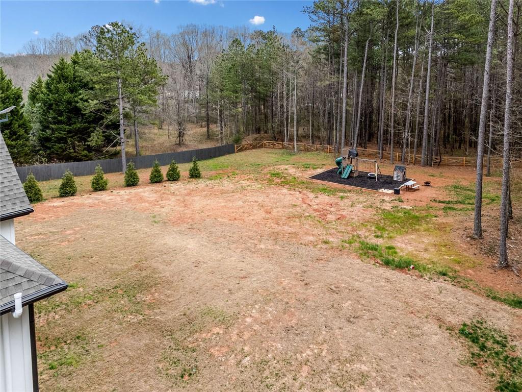 8215 Hwy 81, Bethlehem, Georgia image 44