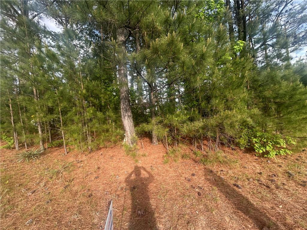 3196 Gwinnstone Circle, Snellville, Georgia image 6