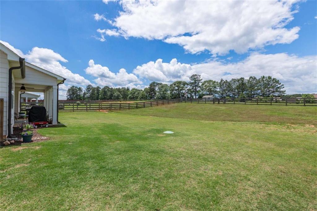 295 Graceton Farms Drive, Senoia, Georgia image 7