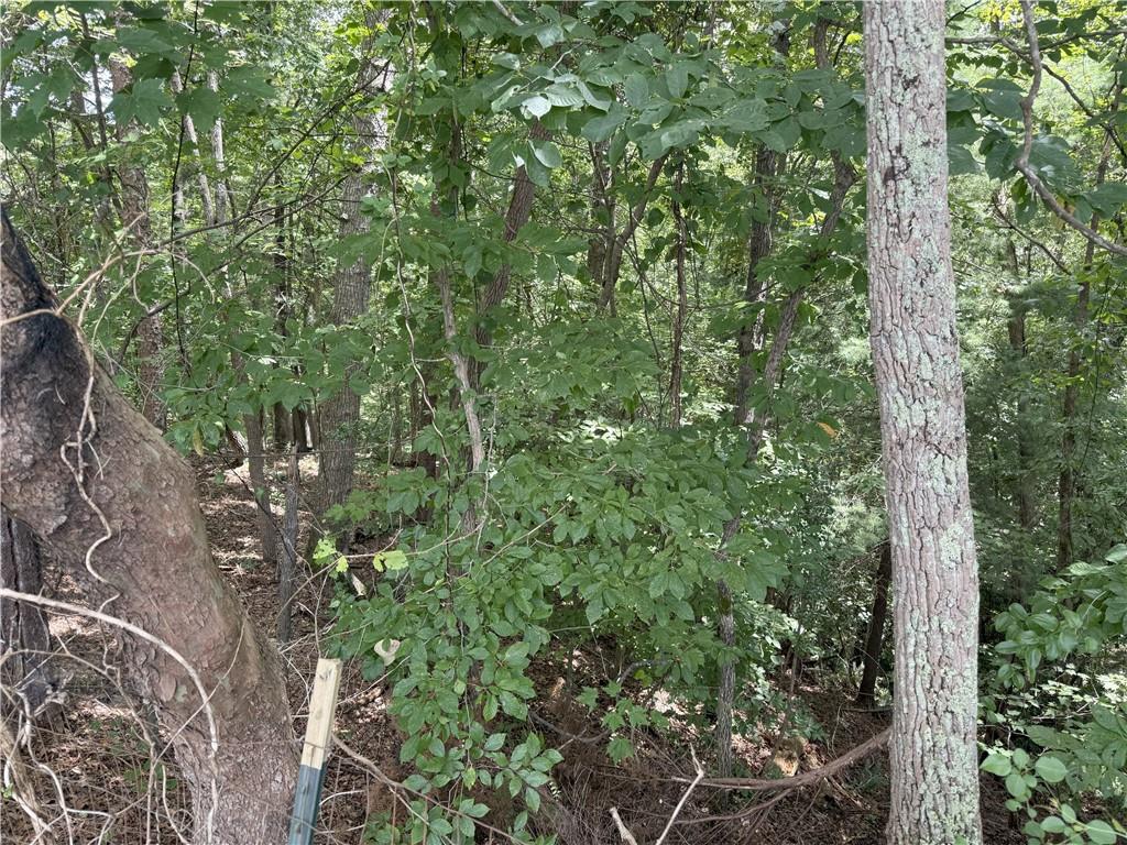 00 Calhoun Road